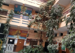 Schools in Karawal Nagar, Delhi, LITTLE STAR PUBLIC SCHOOL, Road No 1, Mathawali Gali, East Karawal Nagar, New Chauhanpur, Dayalpur,New Mustafabad, Delhi