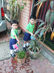 Outdoor Play Area