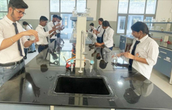 Alexandra School Galley Image 4