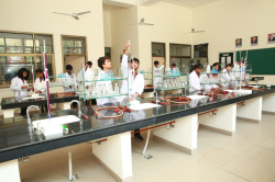 डीएवीपब्लिक स्कूल गैली छवि 4