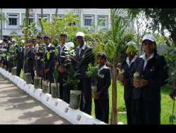 Sri Chaitanya Techno School Galley Image 3