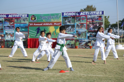 Awards in Co-Curricular Activity