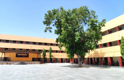 State Board Schools in Sonepat, Kanya Gurukul Senior Secondary School, B.P.S. Mahila Vishwavidyalaya,Khanpur Kalan, Sonepat, Sonepat