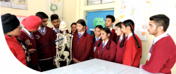 St. Joseph's School Galley Image 3