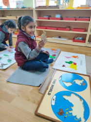 American Montessori Public School Gallery Image 4