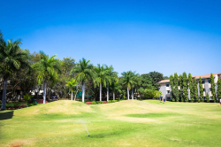 The International School Bangalore Galley Image 3