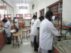 D.A.V Girls Senior Secondary School Galley Image 3