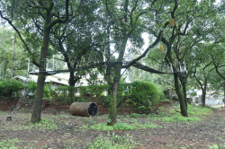 St. Xaviers High School Gallery Image 4