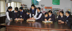 Sri Aurobindo International School Gallery Image 4