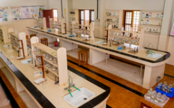 IDEAL PUBLIC SCHOOL Galley Image 3