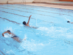 DELHI PUBLIC SCHOOL Galley Image 4