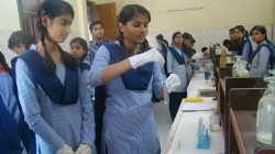 Red Rose School Galley Image 4