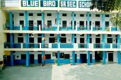 CBSE Schools in Sector 21 D, Faridabad, BLUE BIRD SENIOR SECONDARY SCHOOL,  S G M NAGAR, SGM Nagar, Sector 48, Faridabad, Faridabad