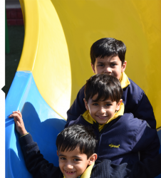Delhi Public School Galley Image 2