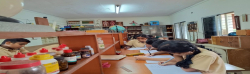 V.V.S. SARDAR PATEL HIGH SCHOOL Galley Image 3