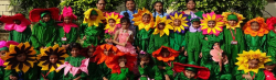 Vidya Bhavan Public School Gallery Image 4