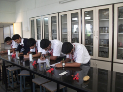 SSPM Day School & Jr College Galley Image 3