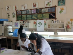 SJR Pre University COLLEGE FOR WOMEN,RAJAJINAGAR Gallery Image 4