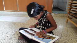 KRSNA MONTESSORI Galley Image 3