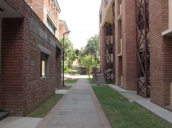 THE BANYAN TREE SCHOOL Galley Image 3