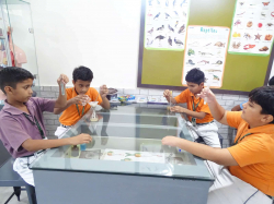 DELHI PUBLIC SCHOOL Galley Image 3