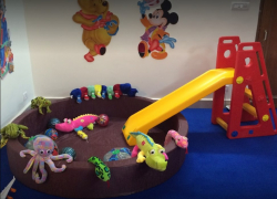 Pre schools, Playschools schools in Narayan Nagar, Bhopal, Ankur Play School Shahpura, B-81, B Sector, Shahpura, Shahpura, Bhopal