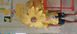 Grabee Montessori Playschool Galley Image 3