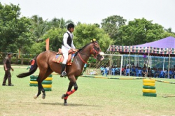 ಶಾಲೆಯ ಗ್ಯಾಲಿ ಚಿತ್ರ