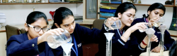 Dewan Public School Galley Image 4