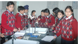 MIND TREE SCHOOL Galley Image 4