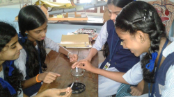 Vyasa Vidyanikethan School Gallery Image 4