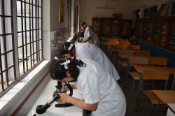 CHINMAYA VIDYALAYA Galley Image 2
