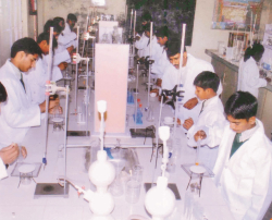 Green Land Convent Senior Secondary School Gallery Image 3