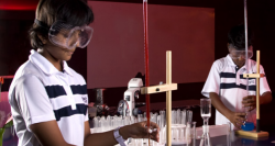 The Indian Public School Galley Image 2