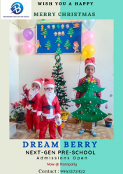 Dream Berry Rampally Galley Image 2