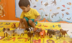 Pre schools, Playschools schools in Hosur Road, Bangalore, Samriddhi-Early Learning Center, 302 N Hanumantha Reddy blg ,opp vinayaka Layout, Doddathogur, Electronics City Phase 1, Electronic City, Bengaluru, Karnataka , Electronics City Phase 1, Bengaluru
