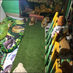 Kids Raga Galley Image 4