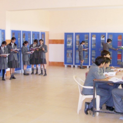 Little Wonders Convent School Galley Image 3