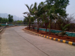 Liberty World Academy Galley Image 2