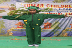 Tomar Children School Galley Image 4