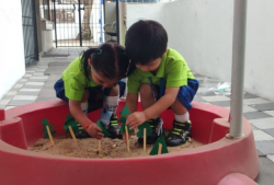 Best Play Schools in Surat, Little Millennium, A-71, Trikam Nagar - 1, Street No- 11 Near Jolly Avenue, L.H Road Varachha, Trikam Nagar, Surat