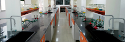 City Montessori School Galley Image 3