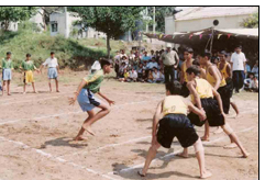 Jawahar Navodaya Vidyalaya Gallery Image 2