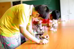 ICSE & ISC Schools in Shanthi Pura, Bangalore, Brookfield High School, Singena Agrahara Road,Via Huskur Road/A.P.M.C. Yard,Electronic City P.O., Gulimangala, Bengaluru