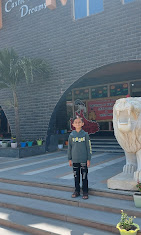 CBSE Schools in Kanadia Road, Indore, DPS Castle Of Dreams, Pipliakumar - Nipania Road, Village - Nipania, Nipania, Indore