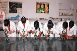 Bal Vidyalaya Madhyamik school Galley Image 2