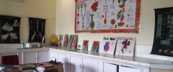 KHALSA COLLEGE INTERNATIONAL PUBLIC SCHOOL Galley Image 4