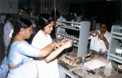 Padma Seshadri Bala Bhavan Senior Secondary School Galley Image 2