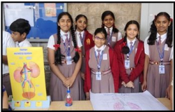 School Exchange Programs