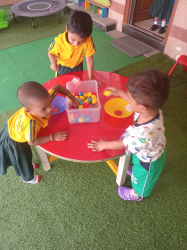 Vidvattva International School Galley Image 2